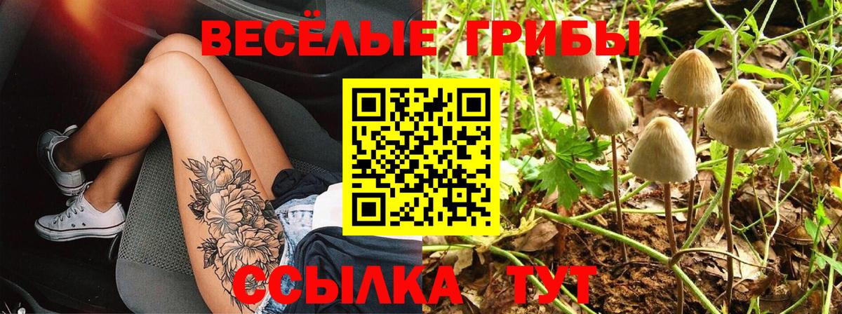 Псилоцибиновые грибы мухоморы  Вход с VPN  Воронеж 