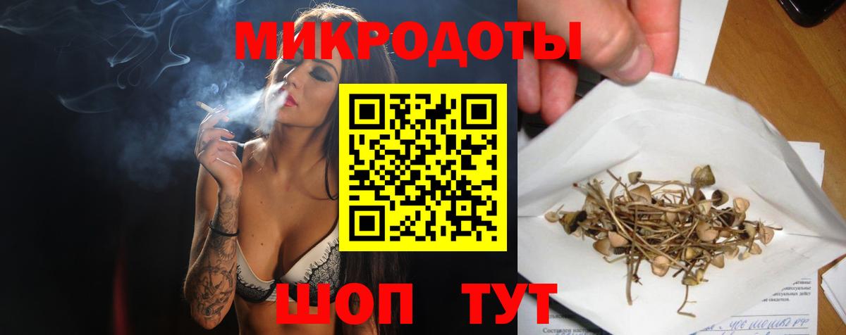 Псилоцибиновые грибы Cubensis Воронеж